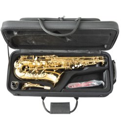 Altsaxofon Trevor James The Horn 3730G, lakeret